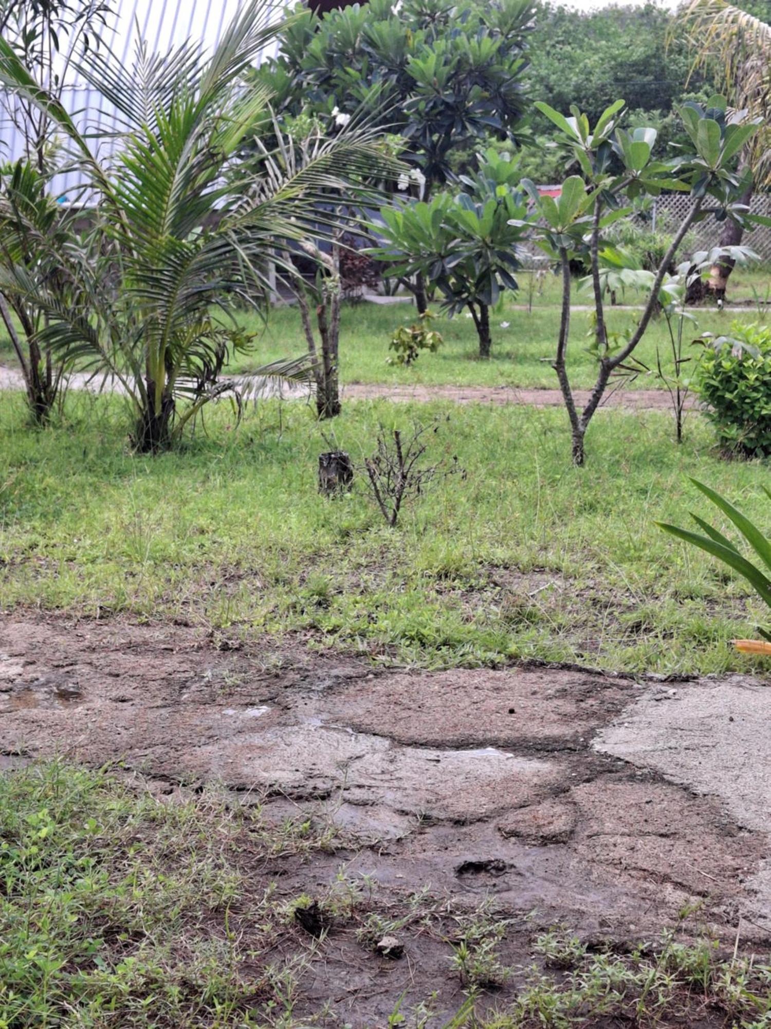 Cnunk Bungalow Gili Meno Eksteriør bilde