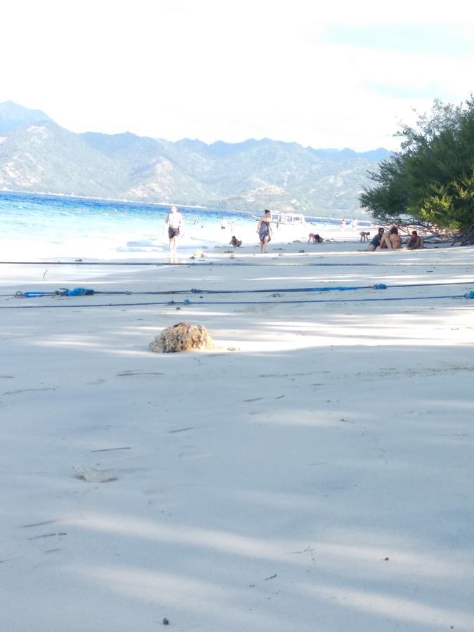 Cnunk Bungalow Gili Meno Eksteriør bilde